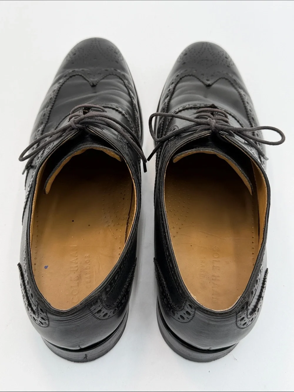 COLE HAAN 12W Oxford Wingtip Brogue Perf Toe GRANDS $400 new